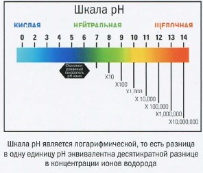 pH кожи и на что он влияет?